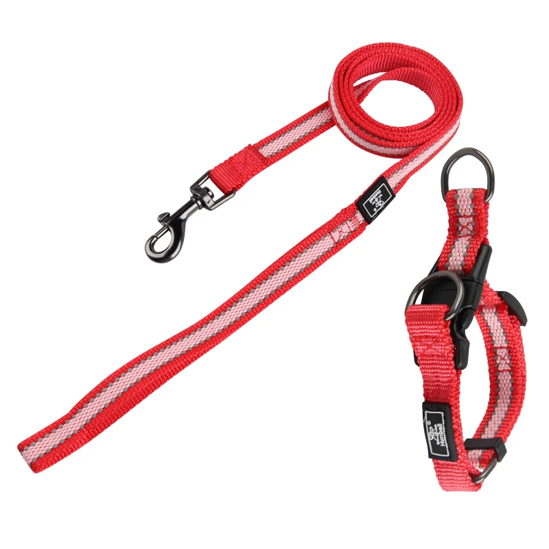 kit-laisse-et-collier-pour-chien-14-19cm