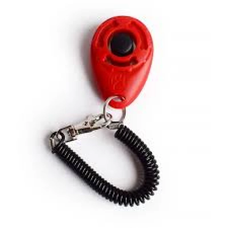 clicker-pour-dressage