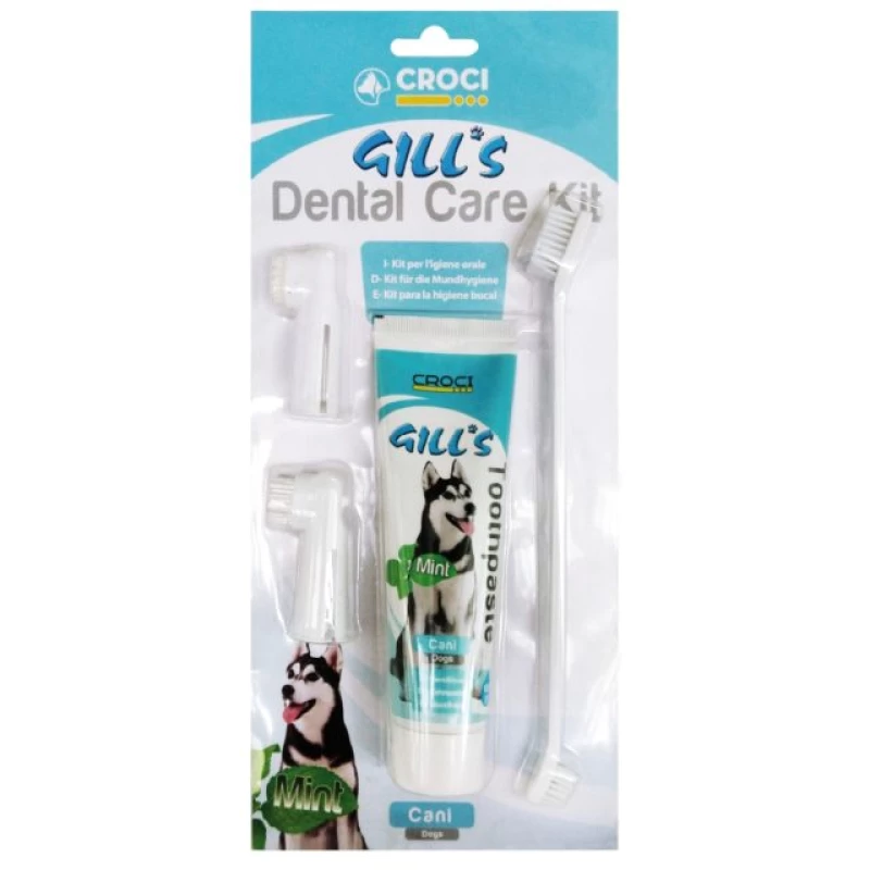 DENTIFRICE POUR CHIEN A LA MENTHE ET 3 BROSSES A DENT