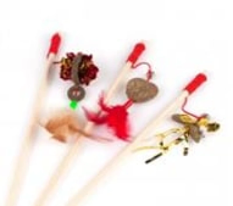 felican-wild-cat-canne-a-peche-selection