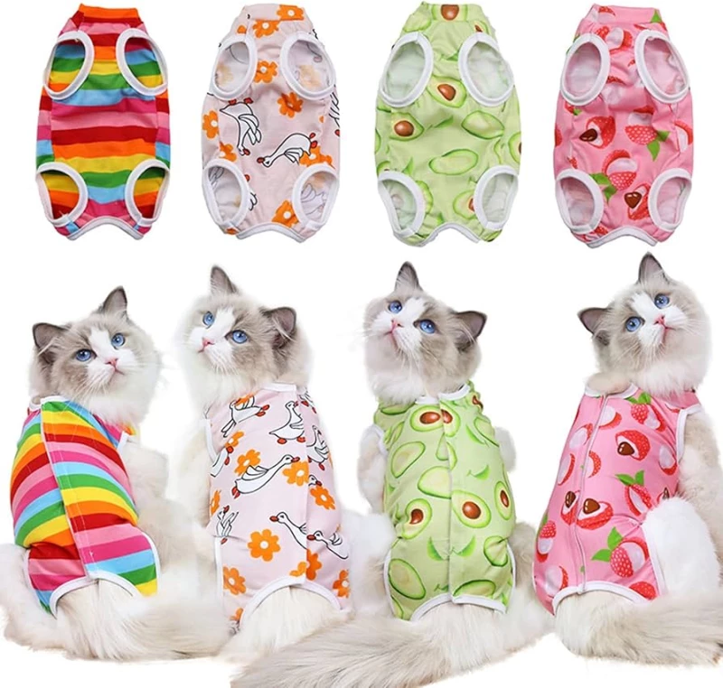 vetement-pour-chat-et-mini-chien