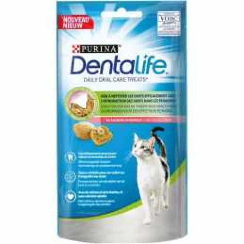 dentalife-chat-saumon