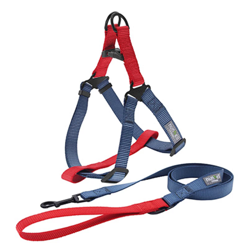 kit-laisse-et-harnais-pour-chiens-45-80cm