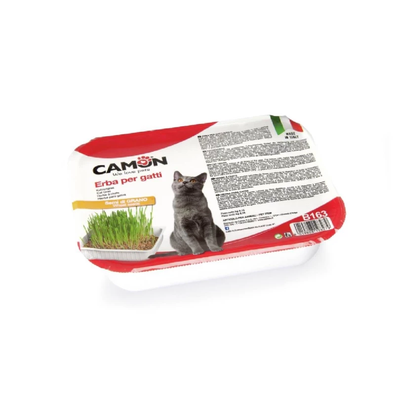 Camon Herbe à Chat avec Graines de Blé - Kit de Culture Intérieur