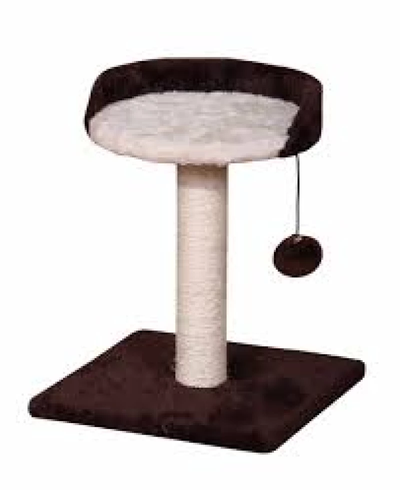 arbre-a-chat-arial