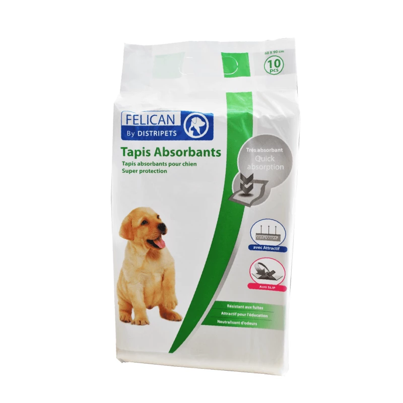 FELICAN - TAPIS EDUCATEUR 60*90 CM 10 PCS
