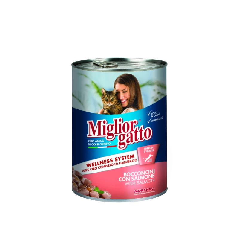 miglior-gatto-salmone-boite-405-gr