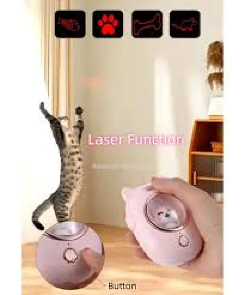 brosse-antipoil-avec-laser