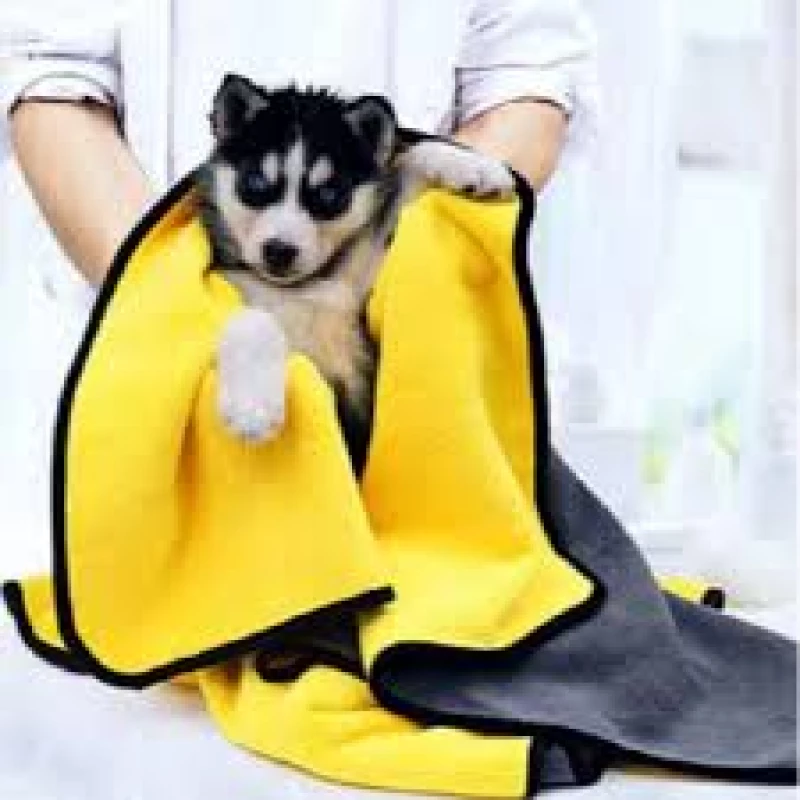 serviette-de-bain-chatchien-3060