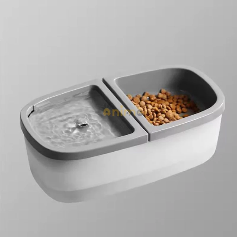 1766493889-fontaine-deau