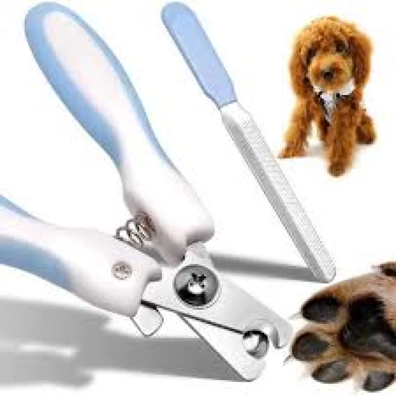 coupe-griffe-ongle-avec-lime