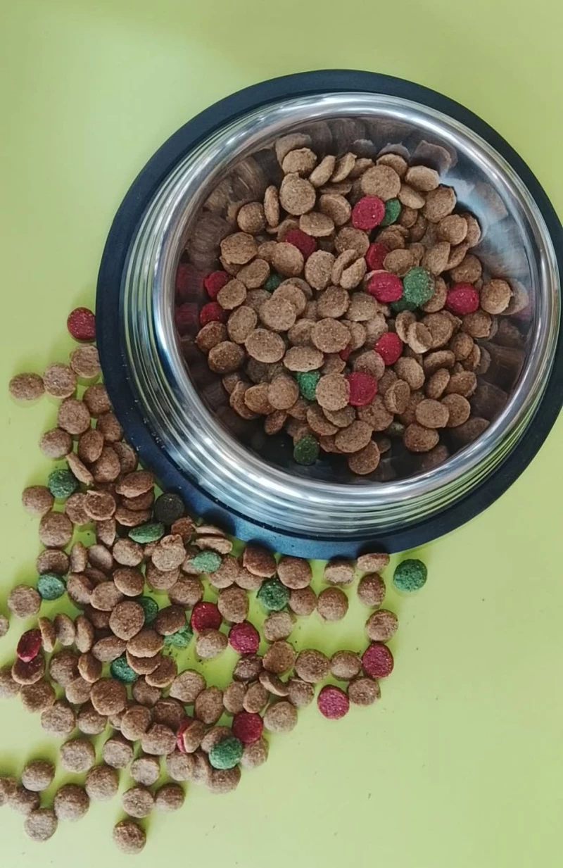 VRAC CHAT-FESTIN 1KG