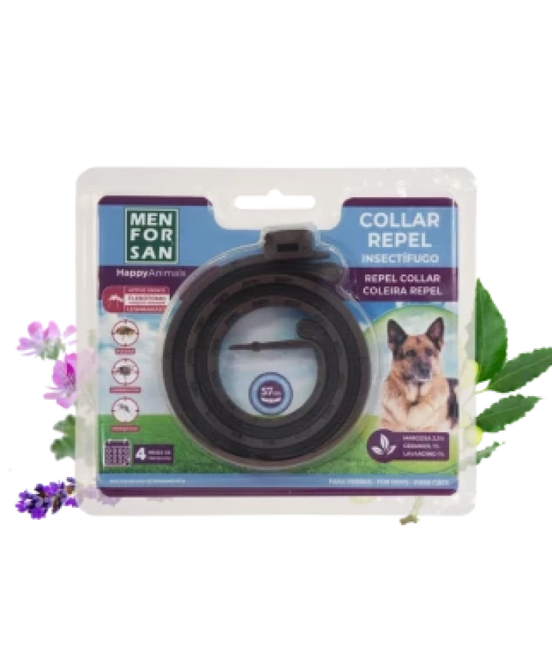 MEN FOR SAN COLLIER ANTI PUCE CHIEN