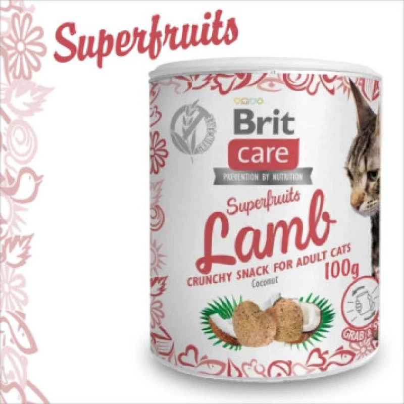 brit-care-cat-snack-superfruits-a-lagneau-100g