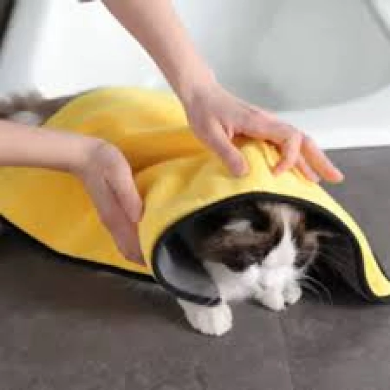 serviette-de-bain-chat-et-chien-50100