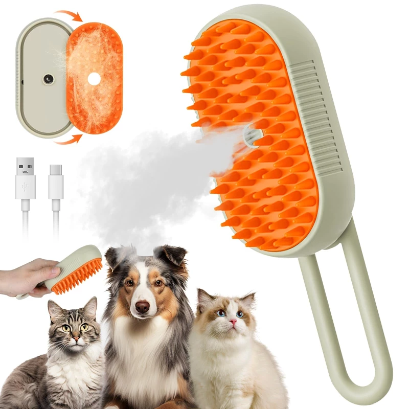 brosse-a-vapeur