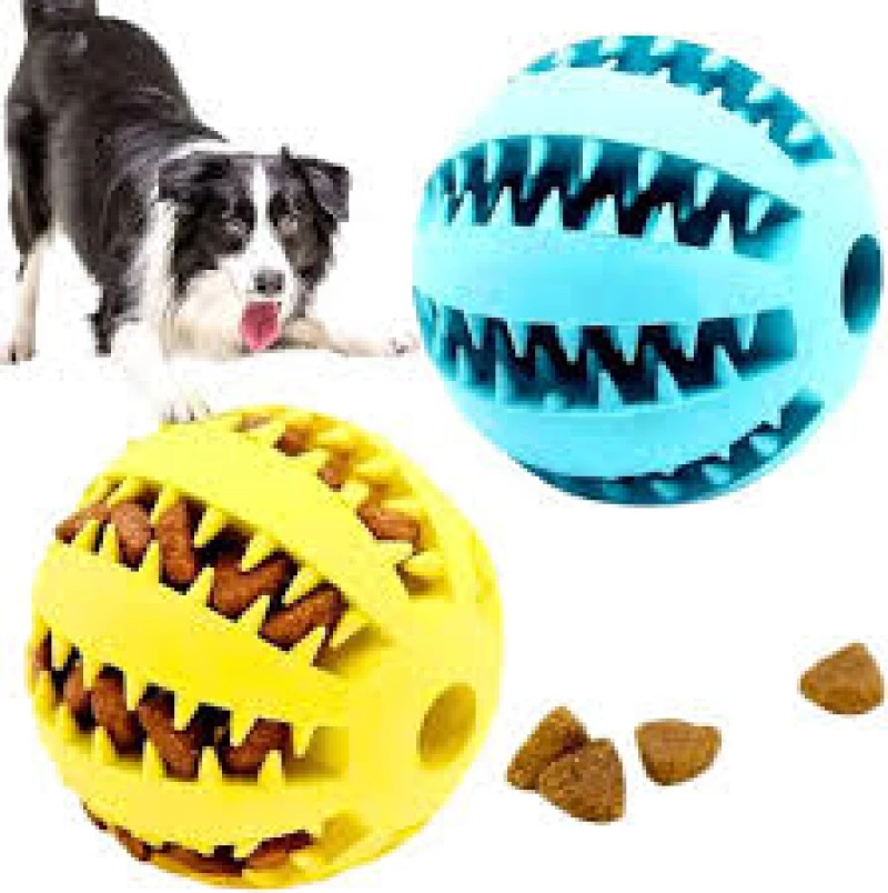 balle-nettoyage-des-dents-pour-chien