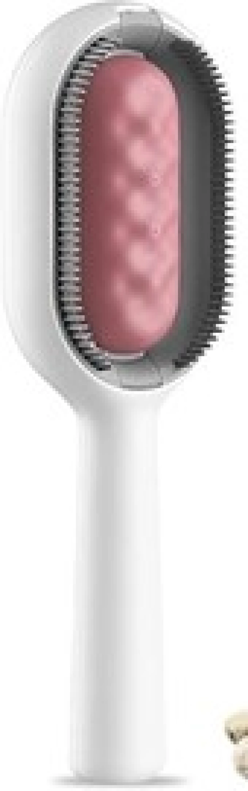 peigne-epilation-pour-animaux-compagnie