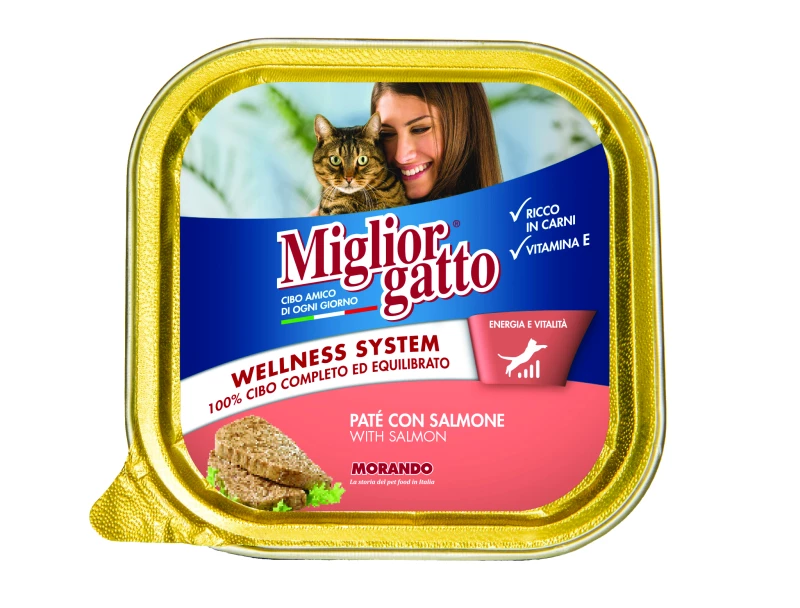 miglior-gatto-salmone-100-gr