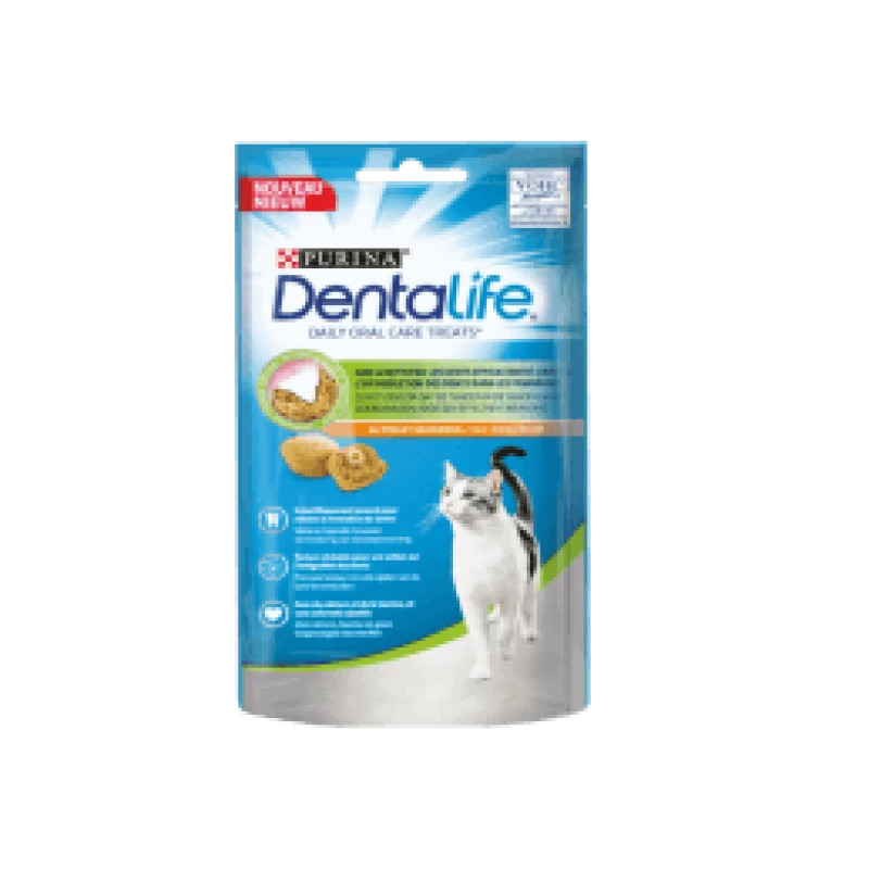 dentalife-chat-poulet