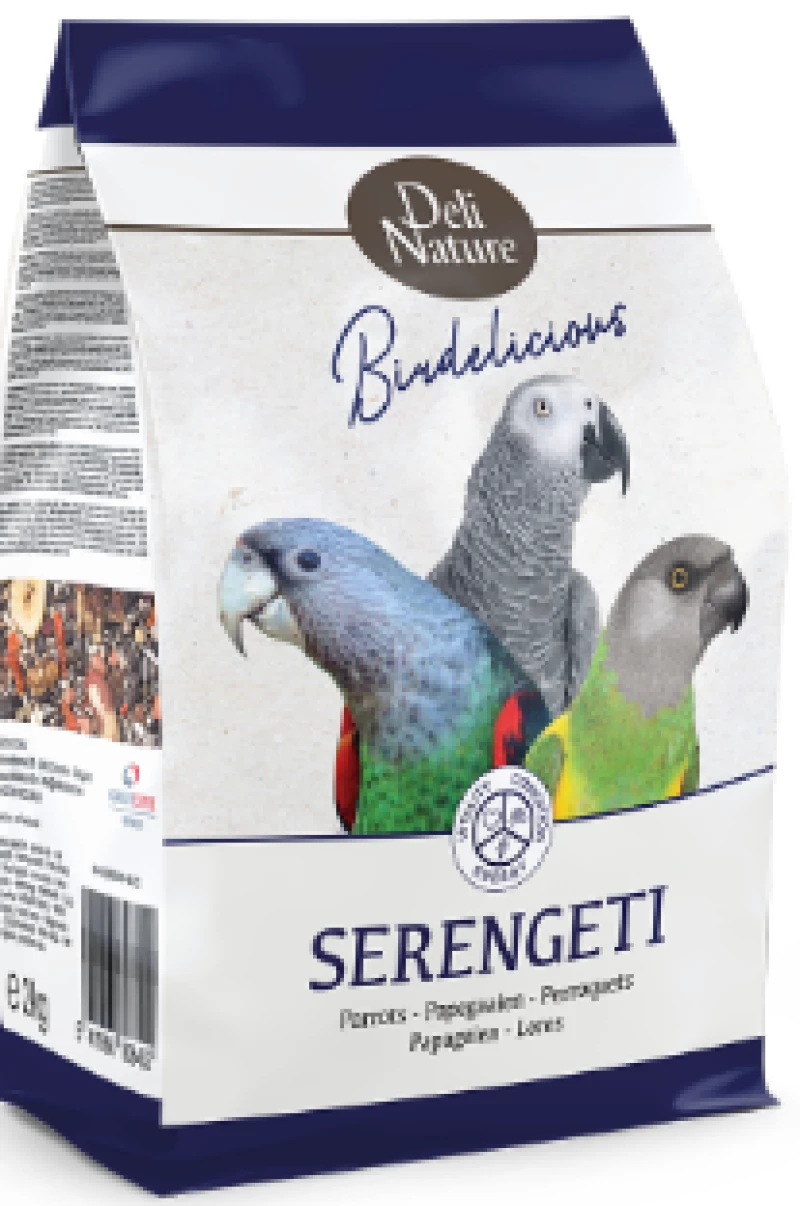 african-parrots