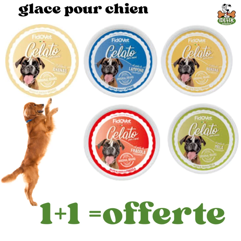 lot-gelato-for-dogs-40gr