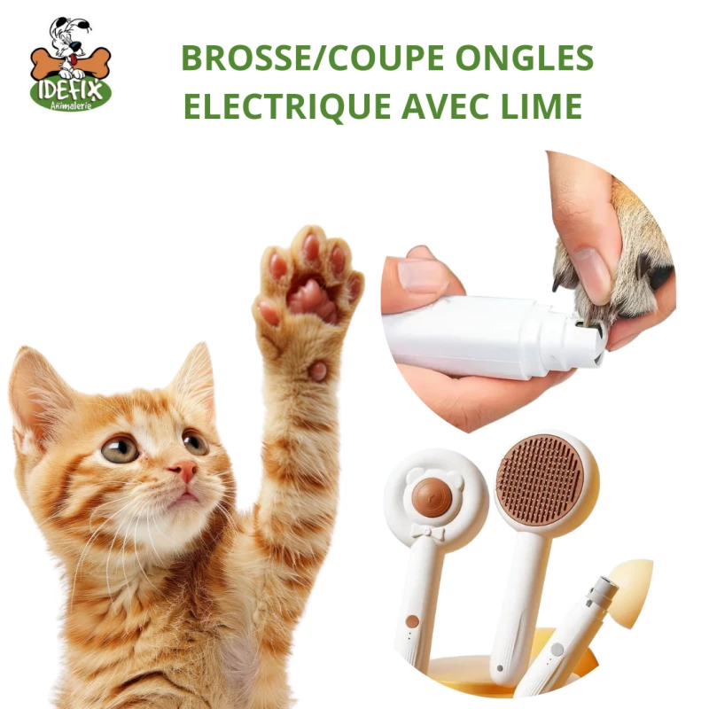 BROSSE AVEC COUPE GRIFFES ELECTRIQUE