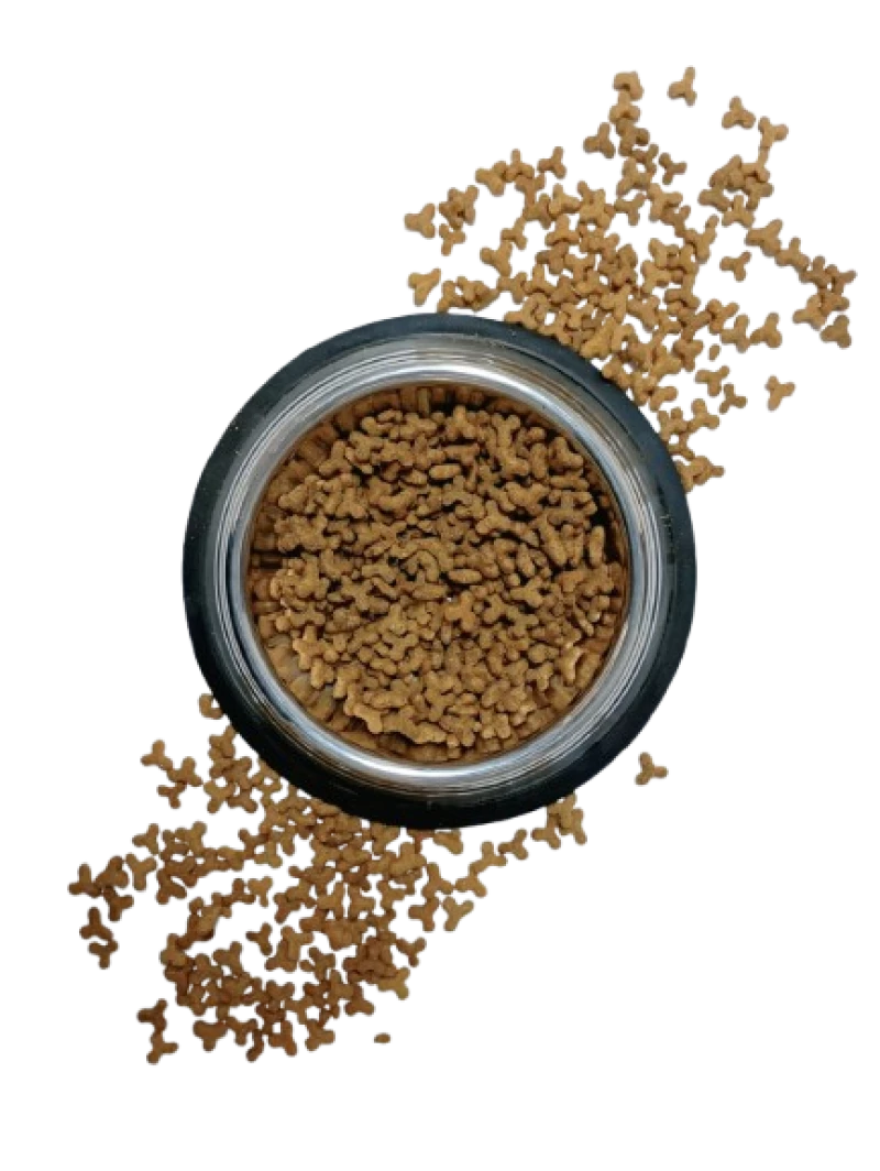 vrac-festin-adult-cat-1kg