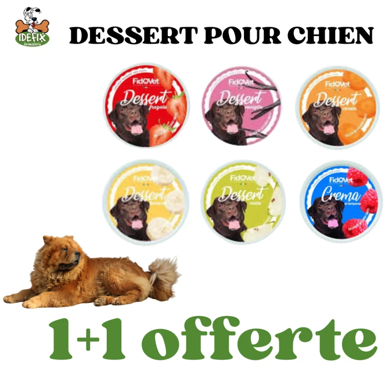 lot-dessert-pour-chien