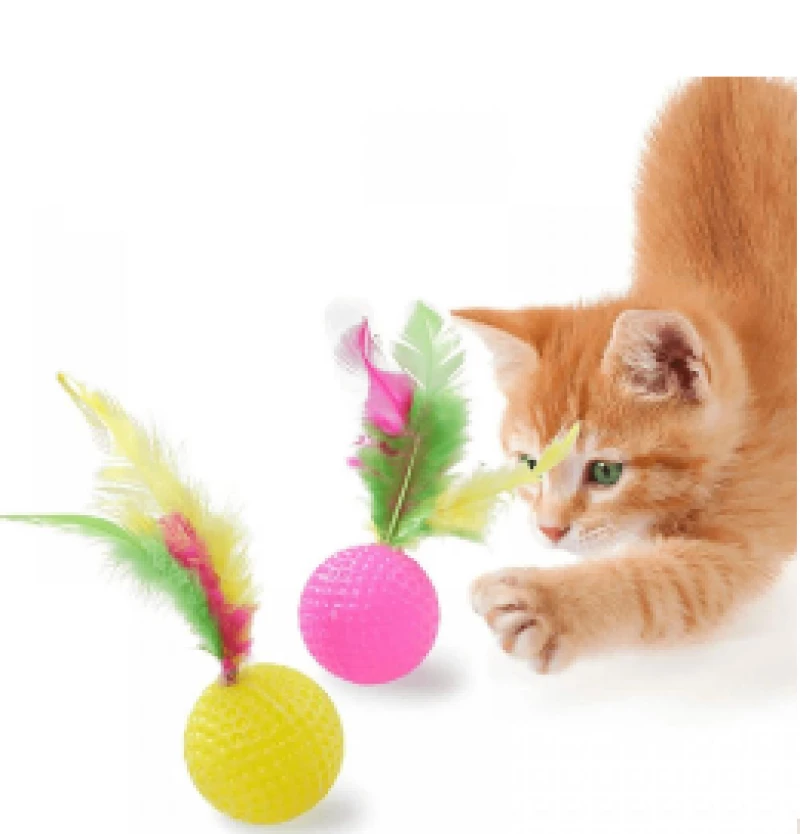 jeux-pour-chat