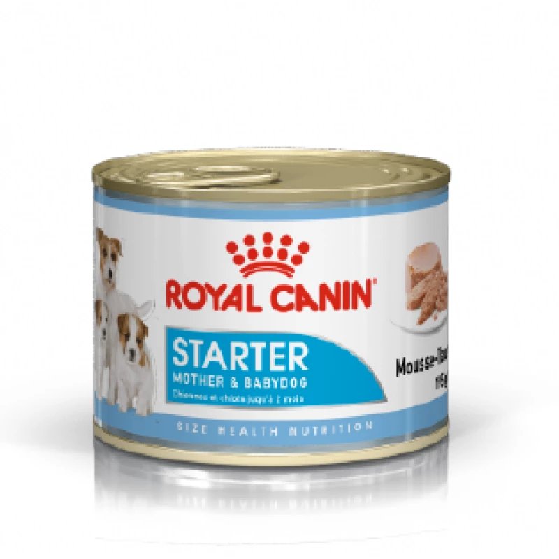 royal-canin-starter-mousse