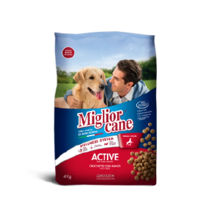 miglior-cane-active-boeuf-4