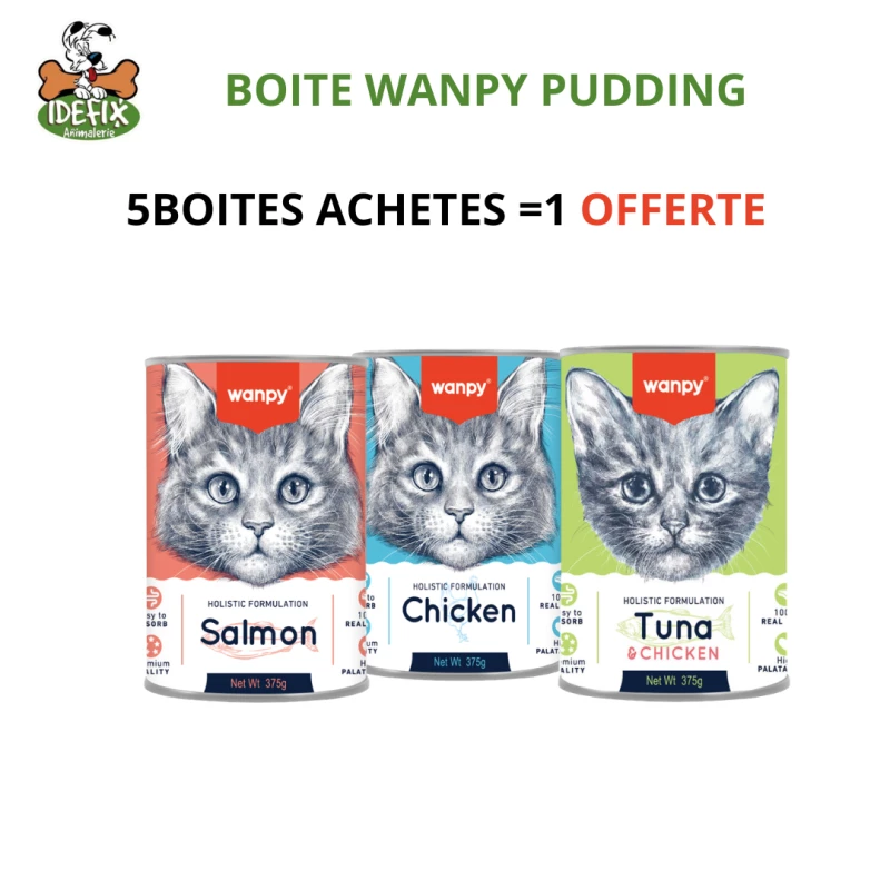 LOT BOITES WANPY 5+1GRATUITE