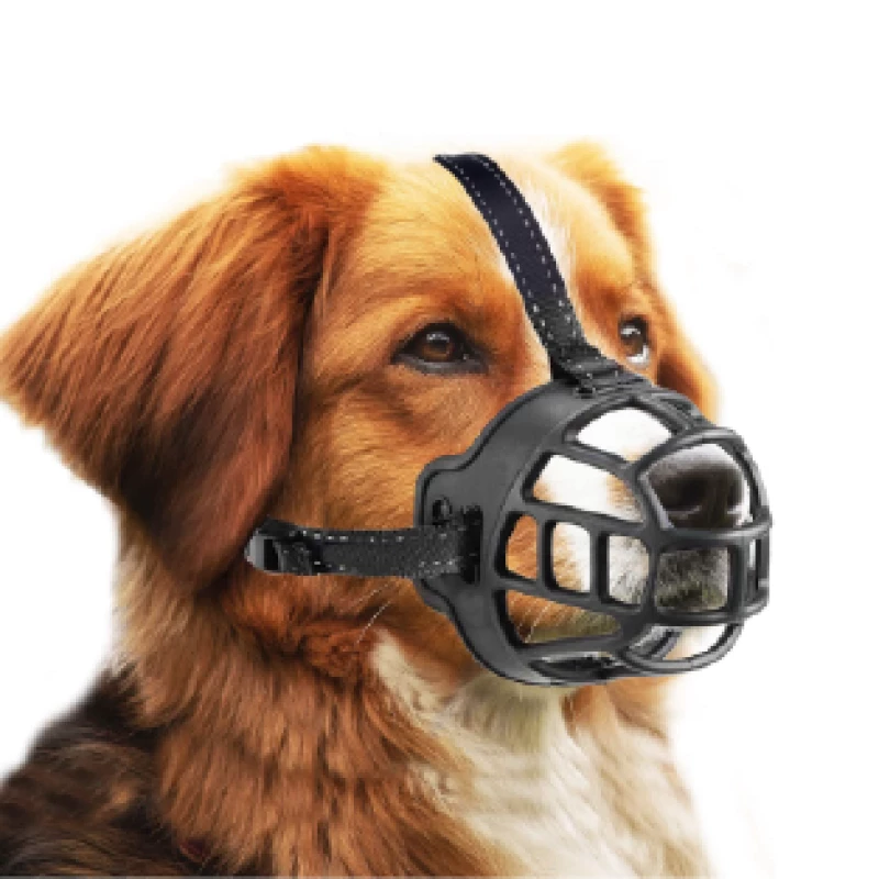 museliere-pour-chien-5-en-boite