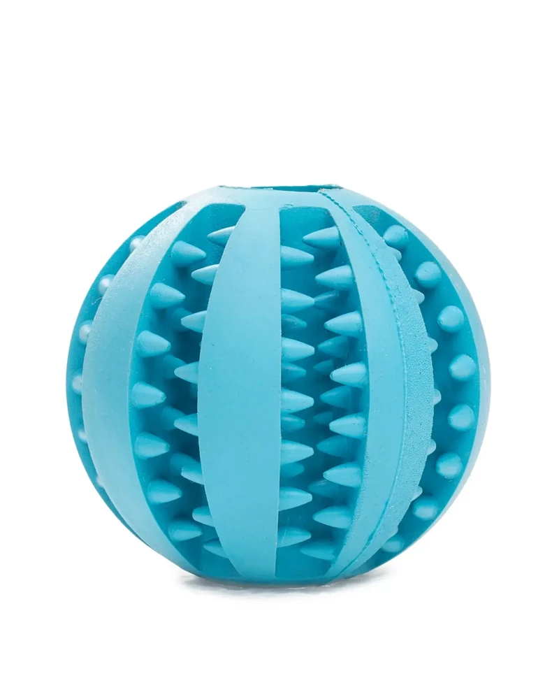 ballon-pour-chien